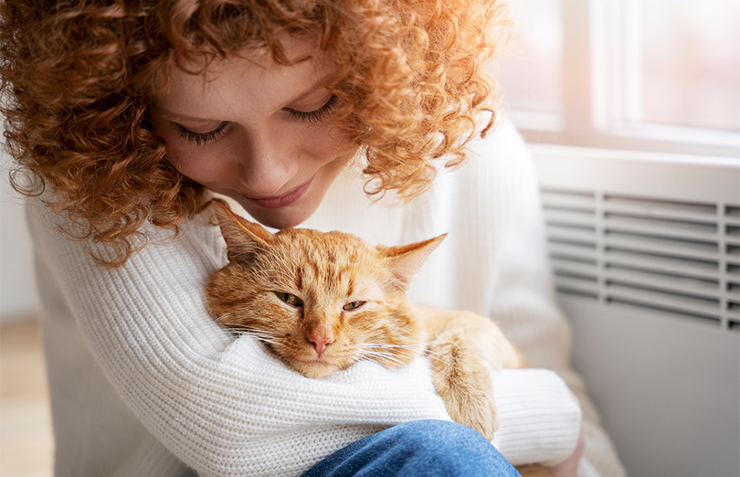 Knuffel je kat dag