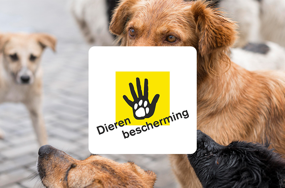 Inbraak dierenbescherming