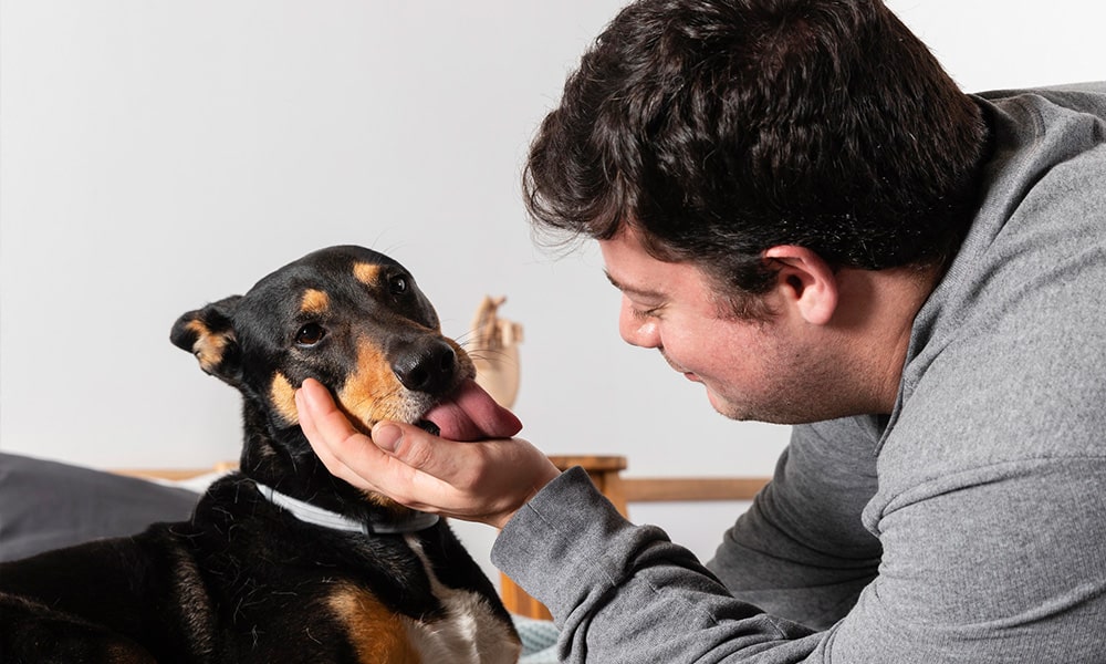 waarom likt een hond zijn baasje