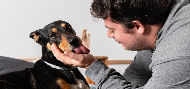waarom likt een hond zijn baasje