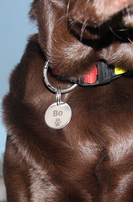 Penning voor je hond of kat bestellen kan via PetBase