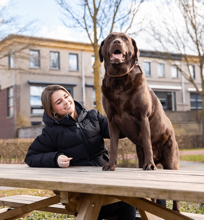 Hond staat vol trots op een tafel samen met baasje nadat het goed geregistreerd is bij PetBase