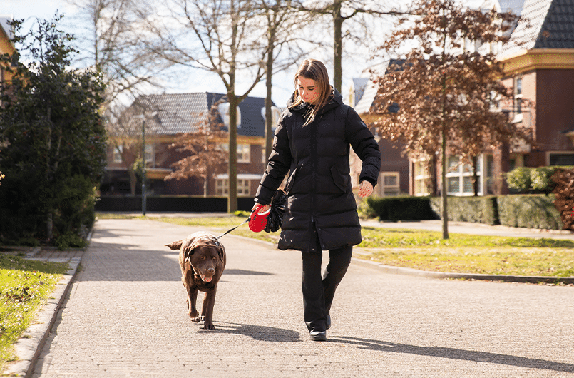 Vrouw loopt met haar hond door een rustige woonwijk, dagelijks hondenonderhoud